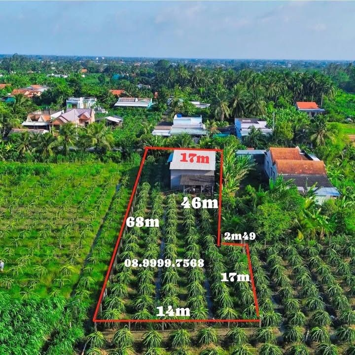 Nhà vườn 1.035m² tại Ấp Bình Thành - Giá 1.9 tỷ, thương lượng ngay!