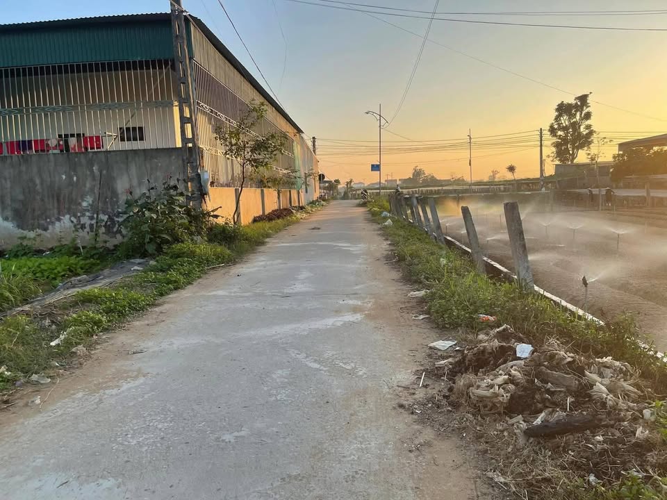 Đất nền Quỳnh Liên, Hoàng Mai 160m² giá 1 tỷ - Lô góc 2 mặt tiền thoáng mát!