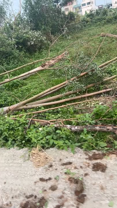 Đất nền Nghi Thạch 139m² giá 1.9 tỷ - Cơ hội đầu tư tuyệt vời!