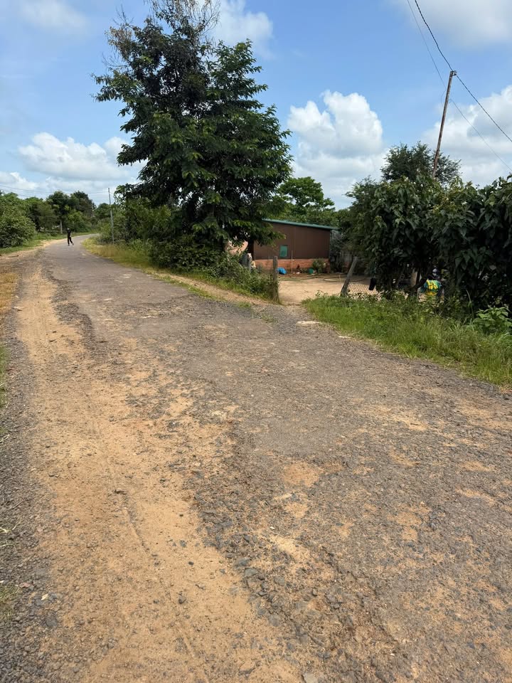 Đất nền Cư Pơng Đắk Lắk 918m² giá 30.294 tỷ - Sổ hồng chính chủ, gần đường lớn