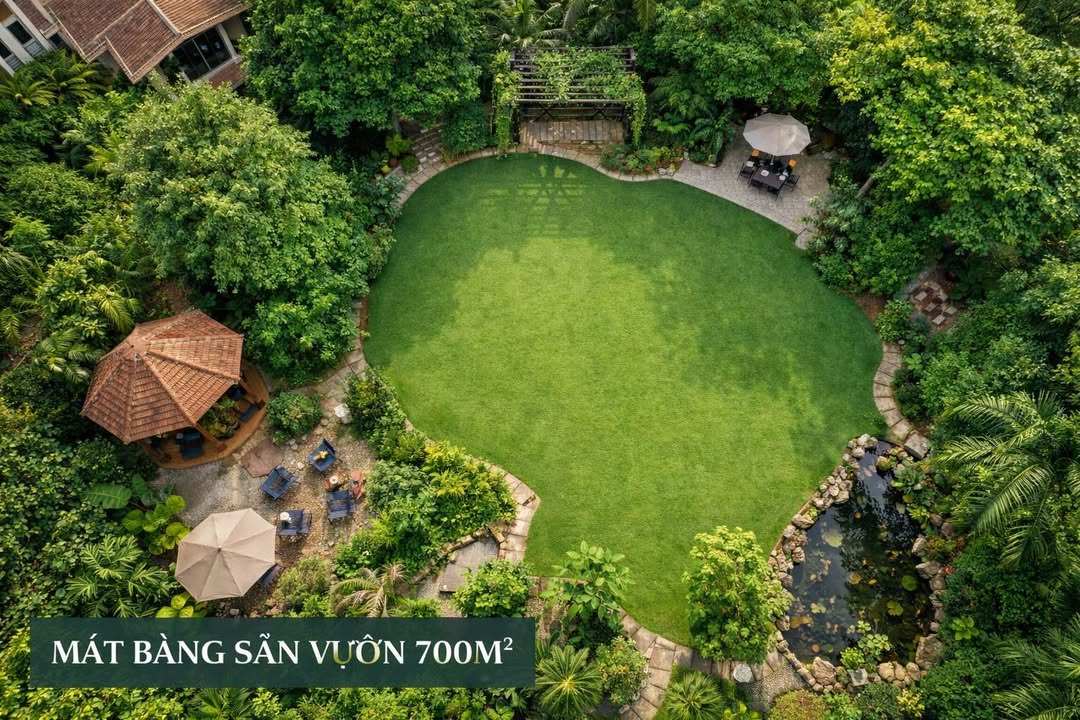 Cho thuê mặt bằng sân vườn 700m² mặt tiền Thảo Điền - Phù hợp kinh doanh đa dạng