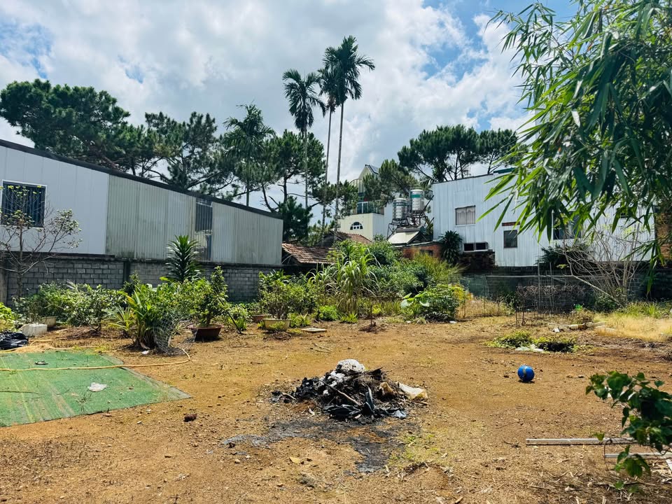 Bán đất khu vực trung tâm Đà Lạt 500m² giá chỉ 5.19 tỷ - Cơ hội đầu tư hiếm có!