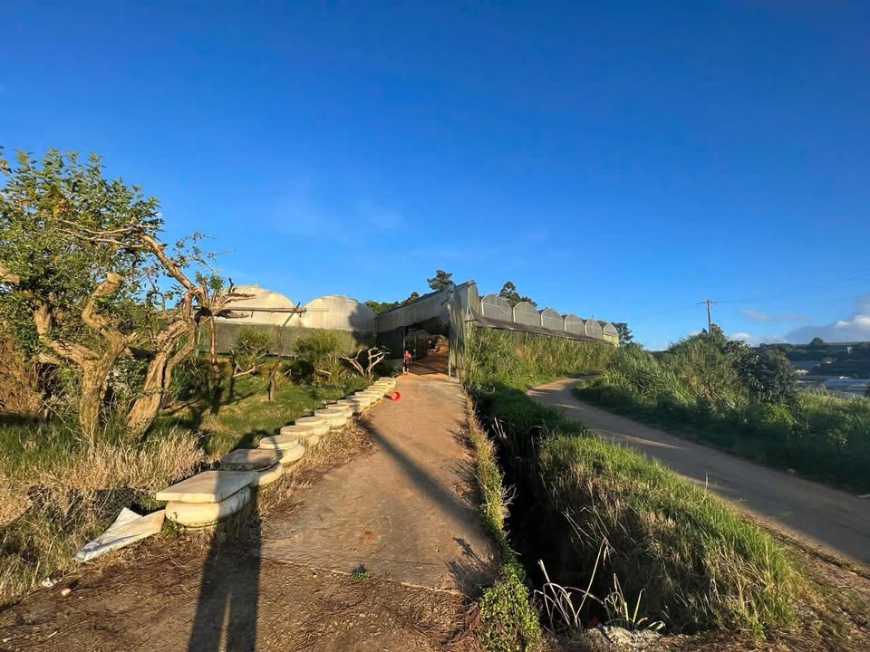 Đất nền Trần Văn Côi, phường 5, Đà Lạt 618m² giá 2.48 tỷ - Đường ô tô rộng rãi!