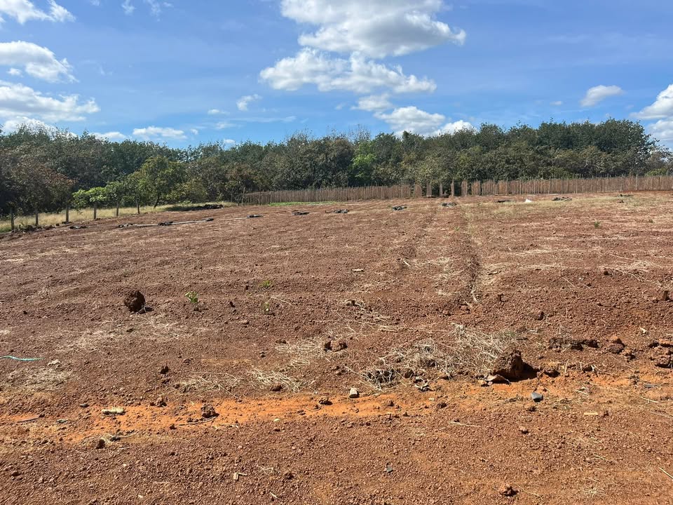 Đất thổ cư 500m² tại Tân Phú, Đồng Xoài chỉ 700 triệu - Cơ hội đầu tư tuyệt vời!