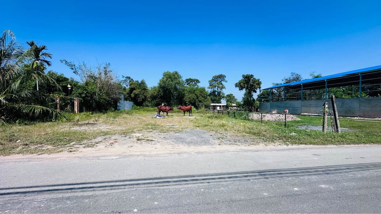 Đất thổ cư 483m² tại Đức Hòa Thượng - Phù hợp xây kho xưởng, chỉ 5.1 tỷ!