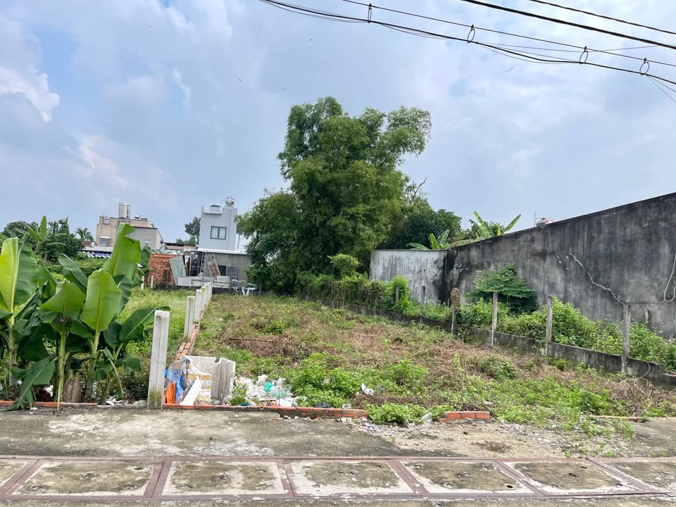 Đất nền mặt tiền đường 31, xã Tân Thông Hội, huyện Củ Chi - 150m² sổ hồng riêng, thổ cư hoàn chỉnh!