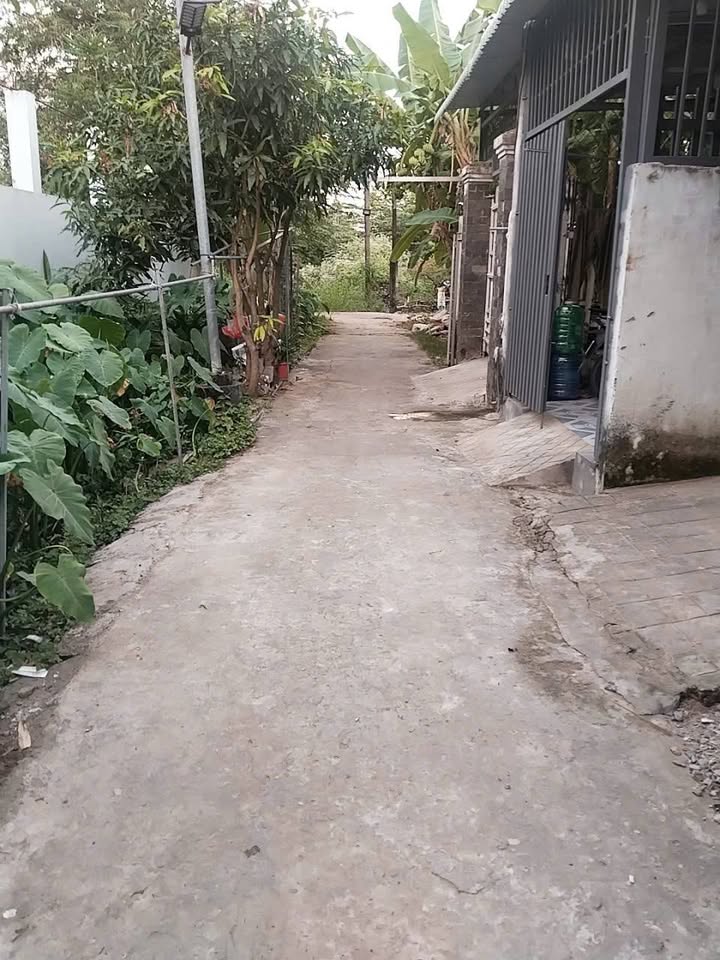 Nhà cấp 4 Tân An 95m² giá 900 triệu - Cơ hội đầu tư tuyệt vời!