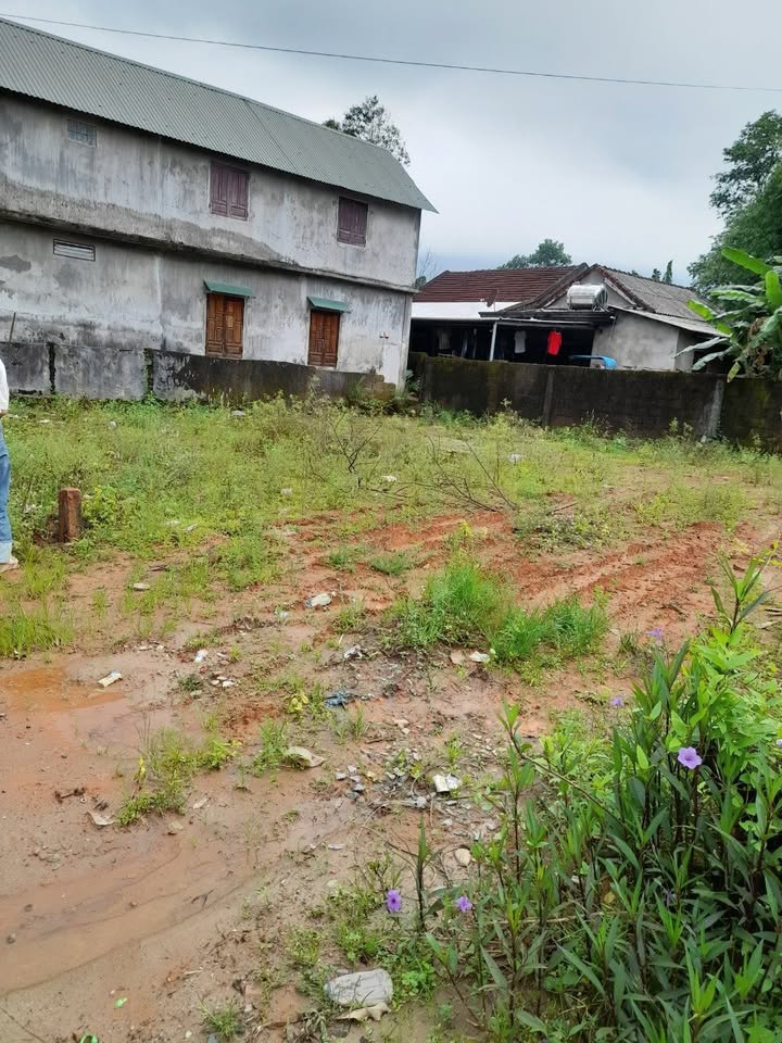 Bán đất mặt tiền đường Cổ Loa thị trấn Phú Lộc 167.1m² giá 1.23 tỷ - Vị trí đắc địa gần chợ