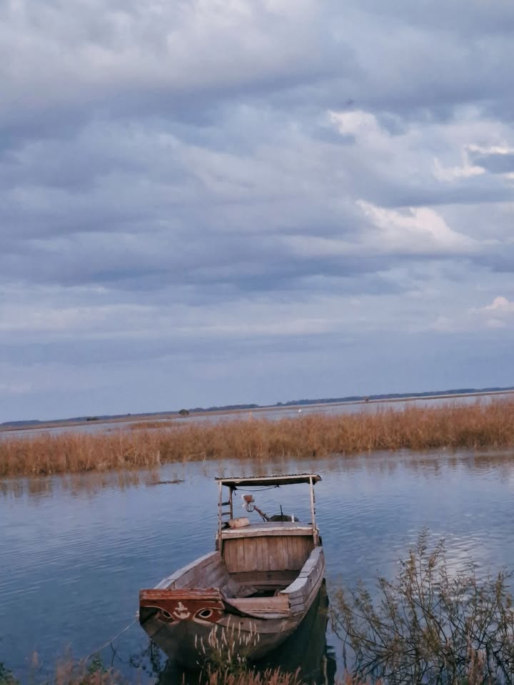 Đất thổ cư 1250m² đường đỏ Tân Lợi, Tân Phú - Giá thỏa thuận, sổ đỏ chính chủ!