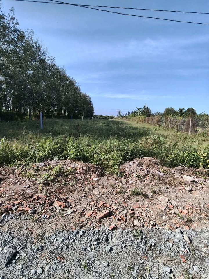 Đất nền khu phố Trường Lưu, Long Hoa, Tây Ninh 1500m² giá 650 triệu - Cơ hội đầu tư hấp dẫn!