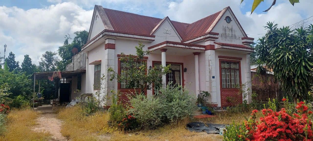 Đất ấp Chánh, Hiệp Thạnh, Gò Dầu 1105m² giá 2 tỷ - Cơ hội đầu tư tuyệt vời!