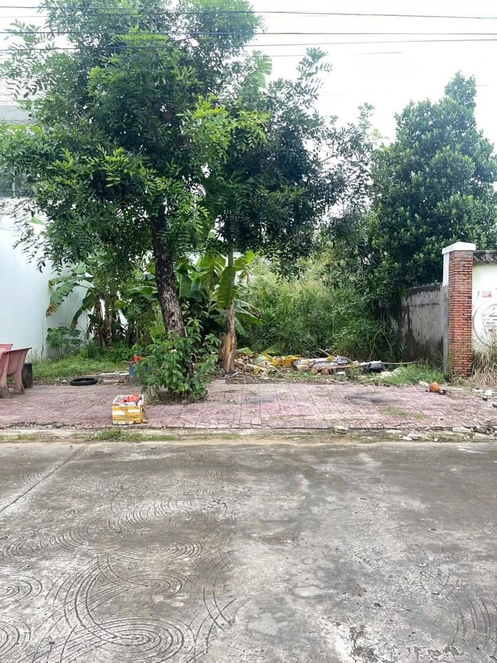 Đất nền Cà Mau 120m² giá 1.65 tỷ - Vị trí đẹp, pháp lý rõ ràng!