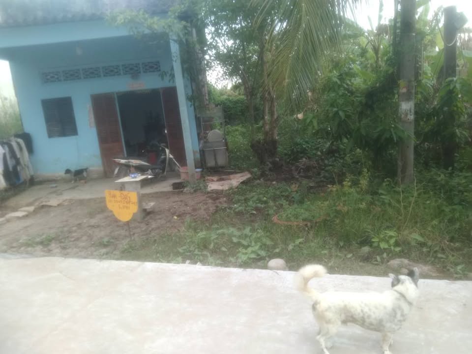 Đất nền Lý Văn Lâm Cà Mau 200m² giá 900 triệu - Cơ hội đầu tư hiếm có!