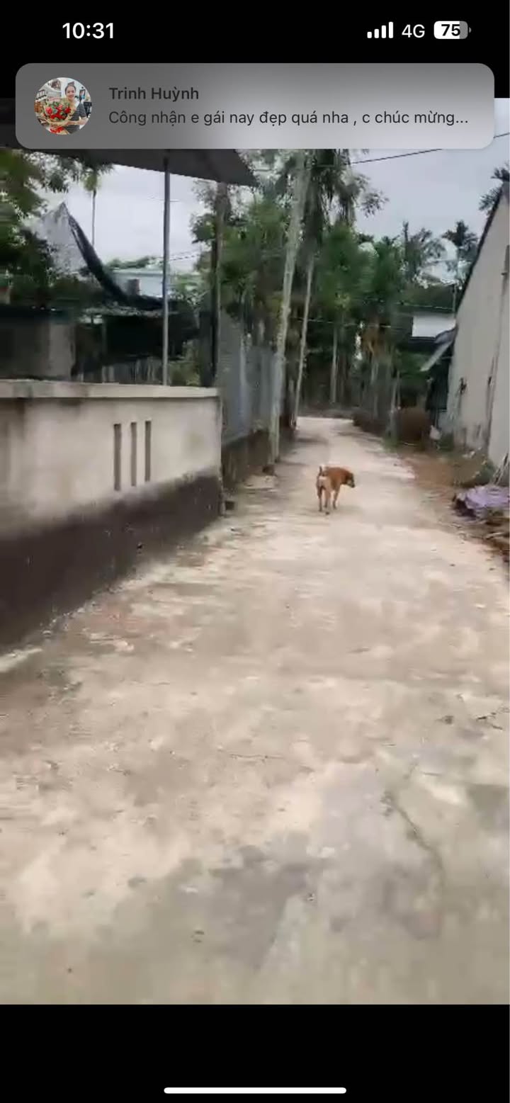 Đất nền Nghĩa Dõng, Quảng Ngãi 108m² - Giá chỉ 500 triệu, cơ hội đầu tư hấp dẫn!