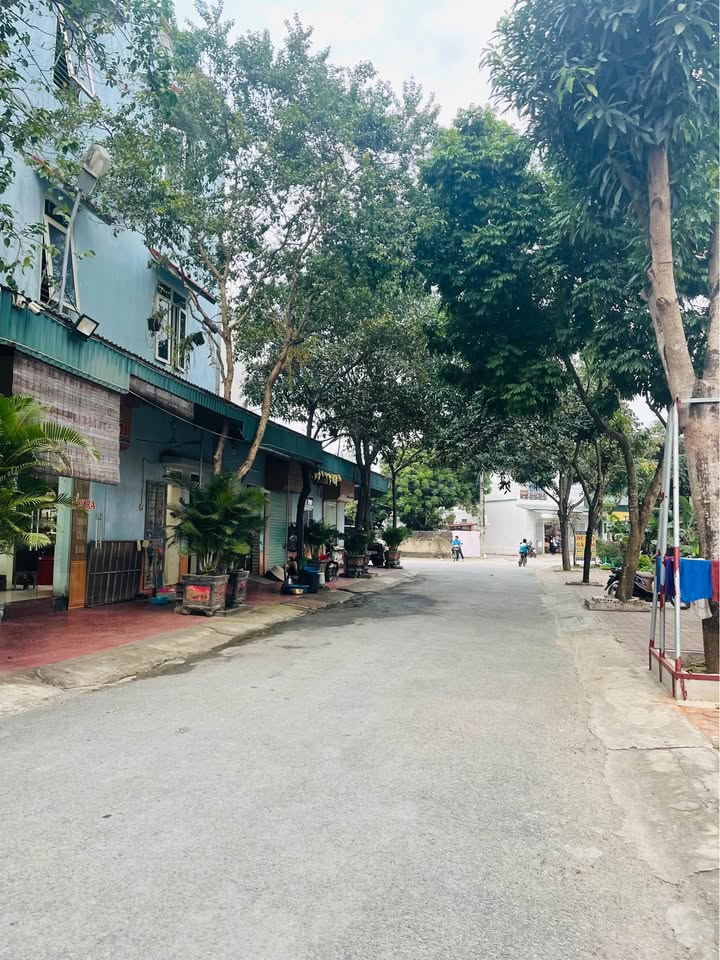 Lô đất Bỉm Sơn 132m² giá 1.9 tỷ - Đầu tư sinh lời nhanh!