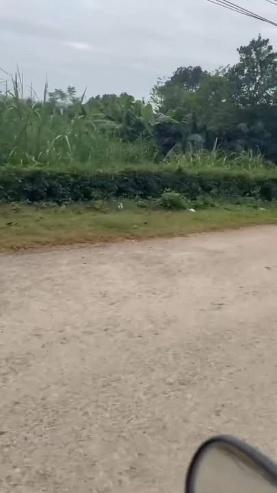 Đất nền Ngọc Lặc 175m² giá 700 triệu - Vị trí đắc địa kinh doanh