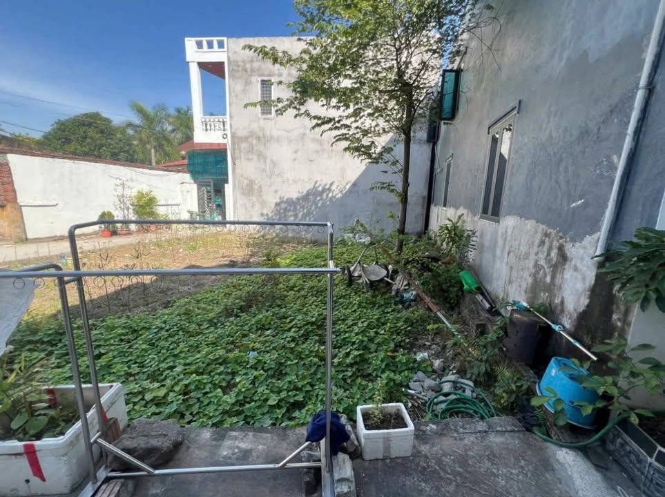 Đất Tân Hưng 47m² giá 1 tỷ - Hướng Nam, ngõ thông rộng!