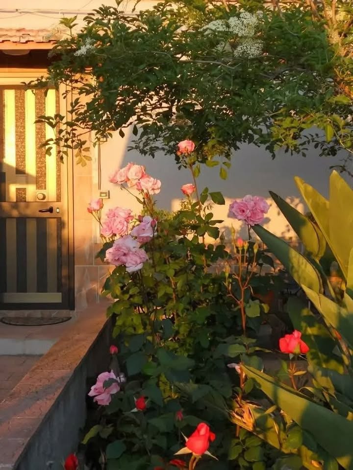 Đất thổ cư mặt tiền kênh Phong Nẫm 120m² giá 800 triệu - Sổ đỏ chính chủ!