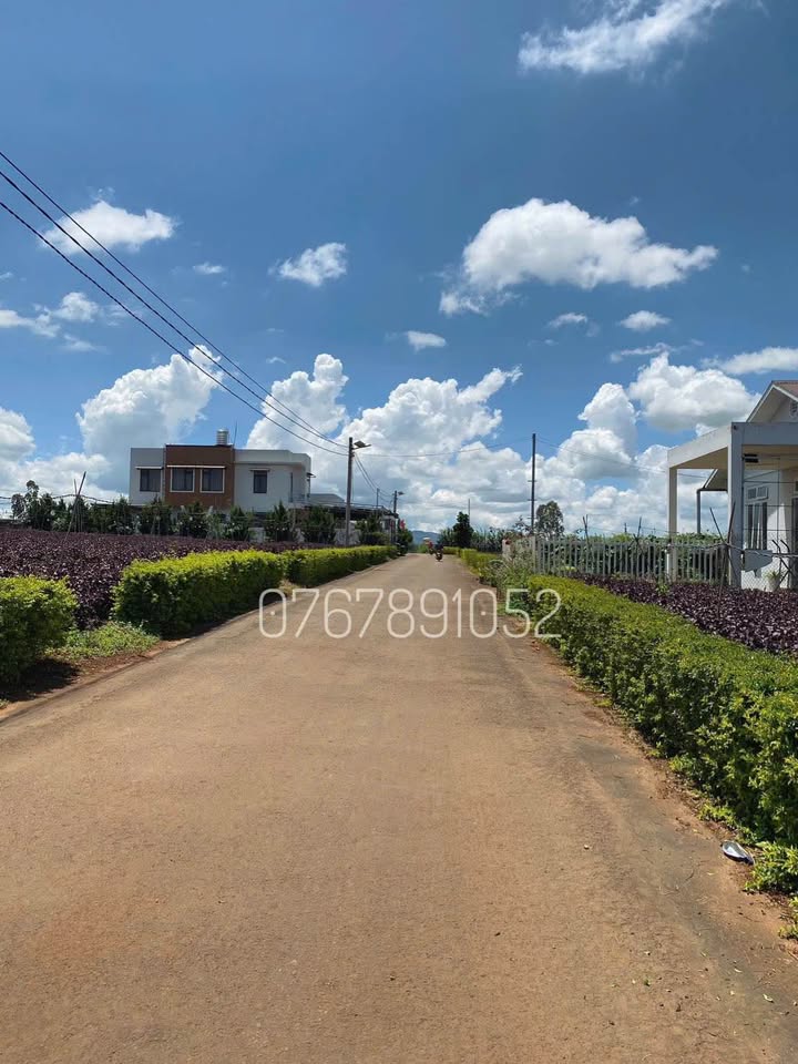 Bán đất Đạ Ròn, Đơn Dương 232m² giá 1.32 tỷ - Khu dân cư hiện hữu, đường nhựa 8m!