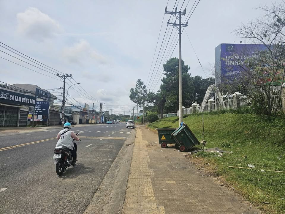 Đất Mặt Tiền Đường Mai Anh Đào Đà Lạt 737m² giá 45 tỷ - Cơ hội đầu tư sinh lời!