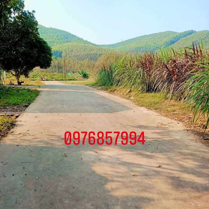 Đất nền Nghĩa Phương Lục Nam 800m² giá 700 triệu - Đất nở hậu, vị trí đẹp!