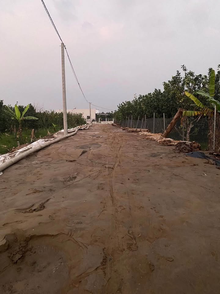 Đất nền phường Cái Vồn, Bình Minh 145m² giá 510 triệu - Đầu tư lý tưởng!