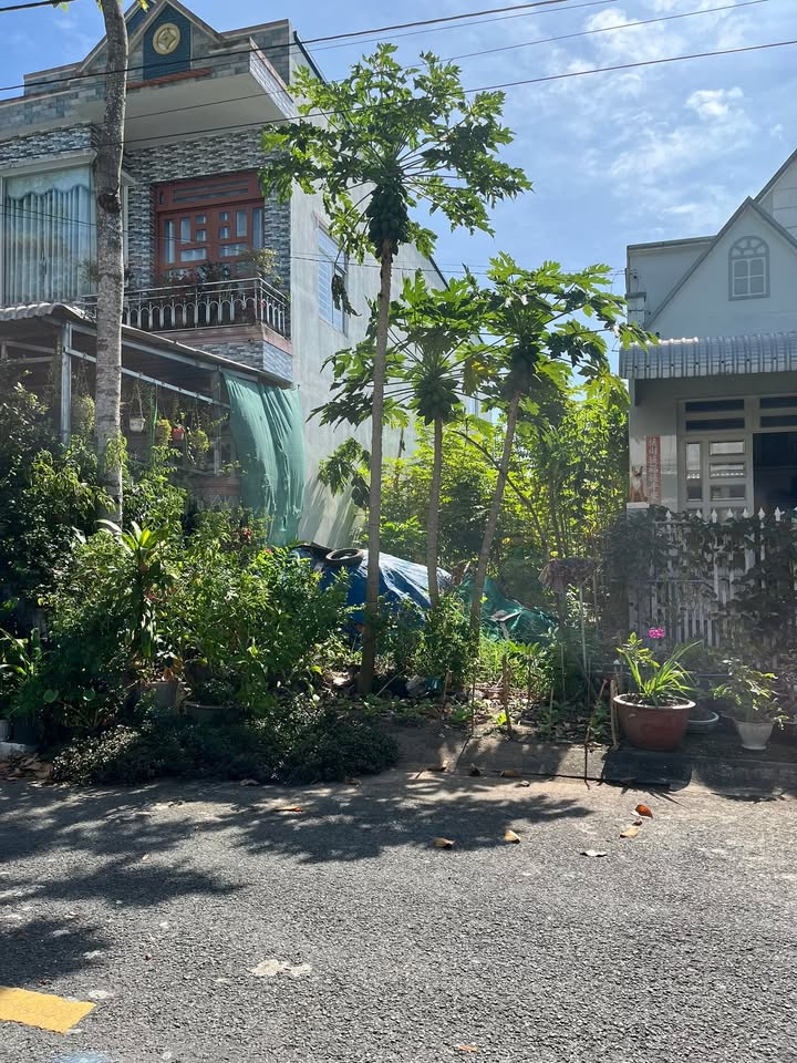 Bán đất thổ cư khu Sao Mai, Lấp Vò, Đồng Tháp 95m² - Giá tốt, đầu tư sinh lời!