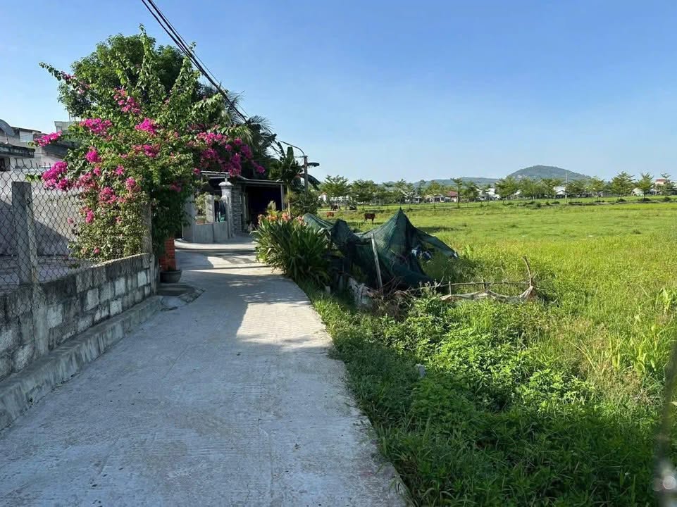 Đất trồng cây Hòa Phong Đà Nẵng 200m² giá chỉ 1xx triệu - Sổ hồng riêng