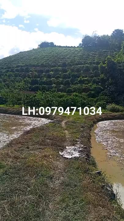 Đất nền xã Đức Xuyên Krông Nô 40,000m² giá 750 triệu - Cơ hội đầu tư hấp dẫn!