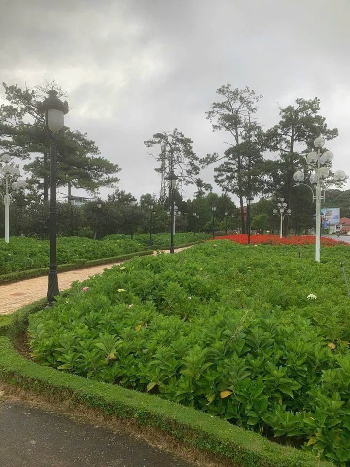 Đất nền 70m² tại Đà Lạt - Gần bờ hồ Xuân Hương - Giá 7.9 tỷ