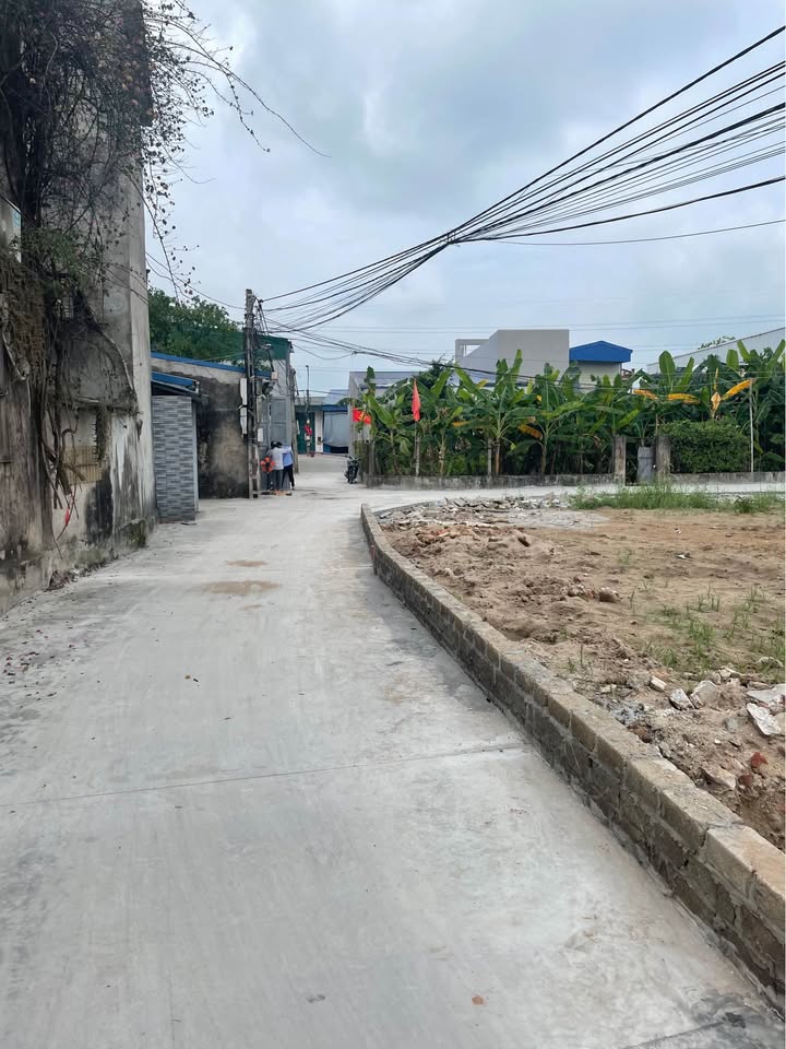 Đất kinh doanh tại Lộc Hòa, Nam Định 300m² - Vị trí đắc địa, giá hấp dẫn!