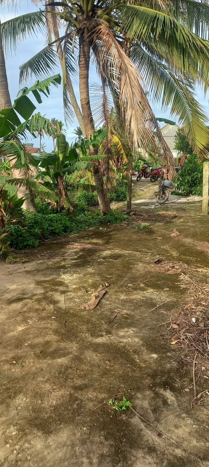 Đất nền 100m² tại Phú Đông, Tuy Hòa - Giá chỉ 700 triệu, gần biển!