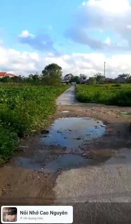 Đất Nông Nghiệp 3100m² đường Hoàng Thế Trung, An Đồng - Bán gấp chỉ 8.06 tỷ