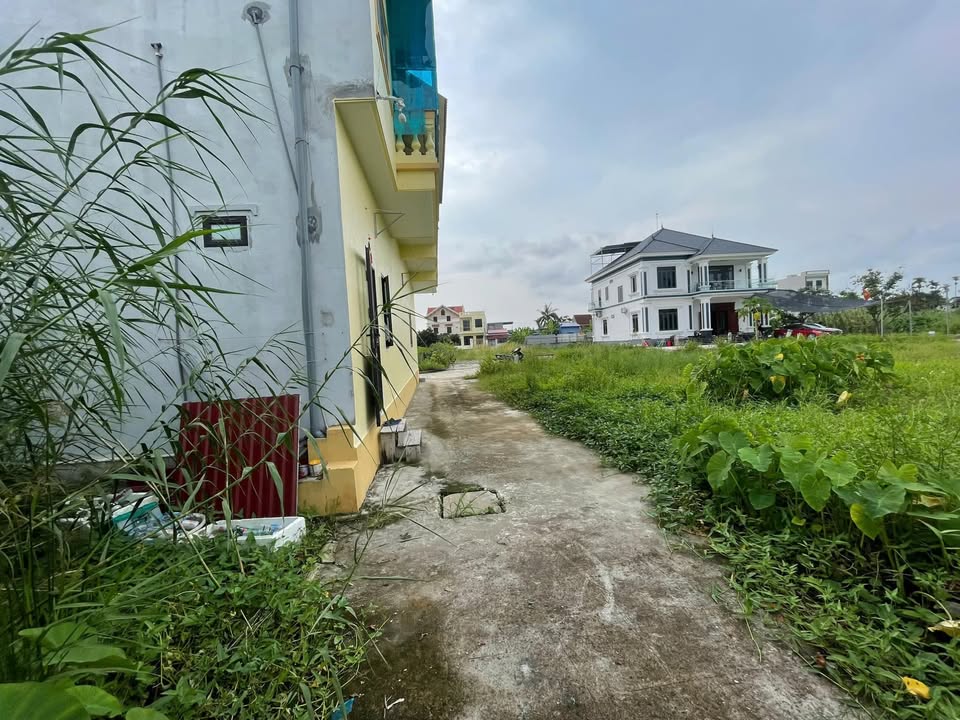 Đất nền Quốc Tuấn, An Dương 51m² giá 600 triệu - Đầu tư sinh lời ngay!