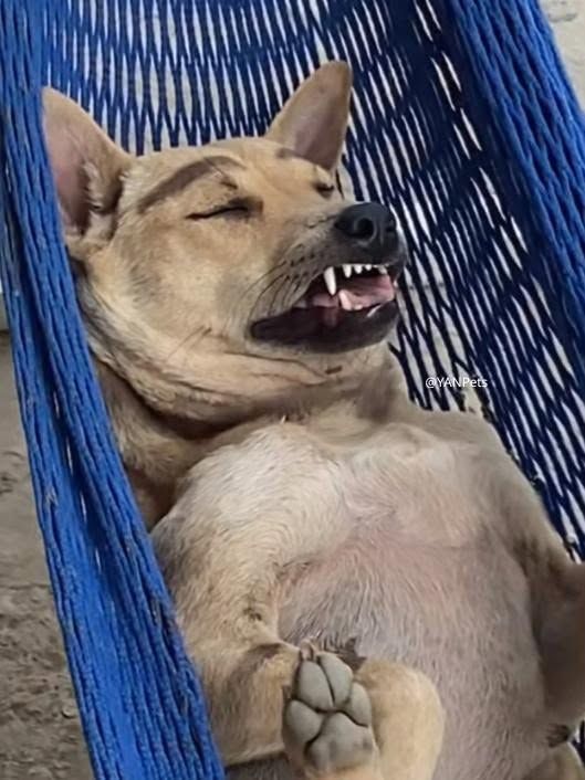 Nhà riêng 2 tầng tại 119 Nguyễn Lương Bằng, Kiến An - Thuận tiện ô tô đỗ cửa!