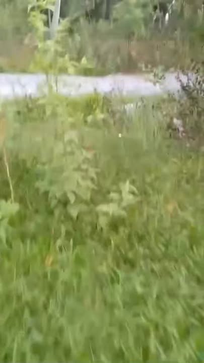 Đất nền xã Phú Vang, Bình Đại 105m² giá 420 triệu - Sổ đỏ chính chủ, vào ở ngay!