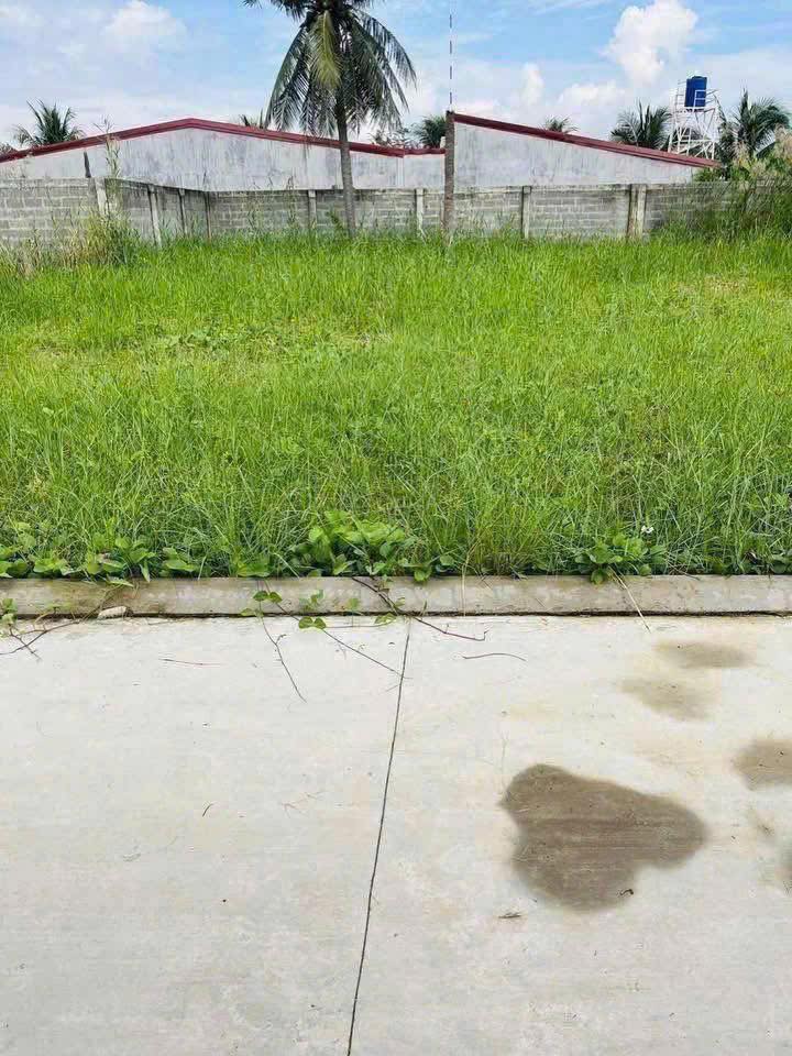 Đất thổ cư Bình Thới, Bình Đại 506m² giá 2.64 tỷ - Nền duy nhất, mặt tiền đường rộng!