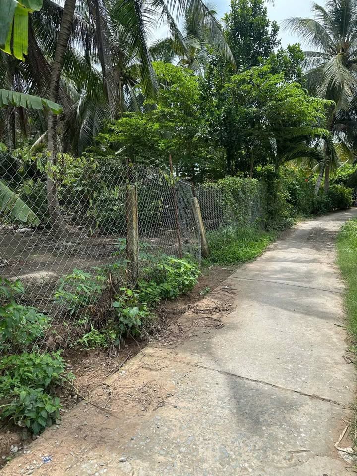 Đất thổ cư 726m² xã Lộc Thuận Bến Tre - Giá chỉ 880 triệu, vị trí đẹp!