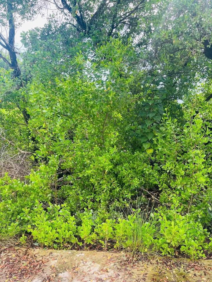 Đất nền mặt tiền đường Bình Đại 156.6m² giá chỉ 399 triệu - Cơ hội đầu tư tuyệt vời!