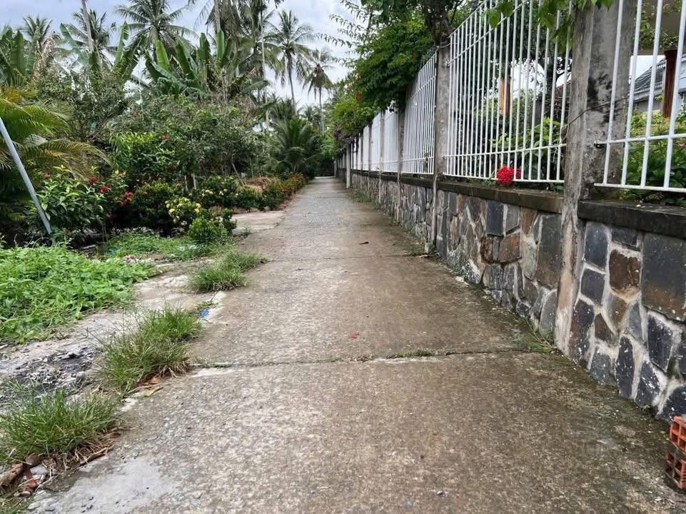 Đất nền Tiên Tây Thượng, Châu Thành, Bến Tre 1426m² chỉ 770 triệu - Cần bán gấp!