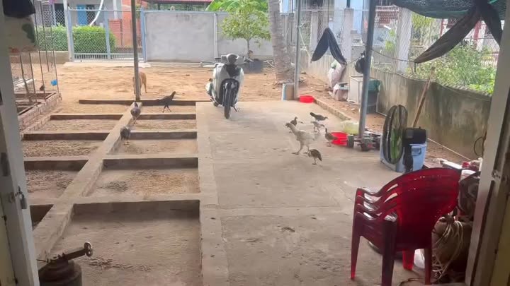 Đất thổ cư Lộc Thuận, Bình Đại 520m² giá 749 triệu - Cơ hội đầu tư sinh lời!