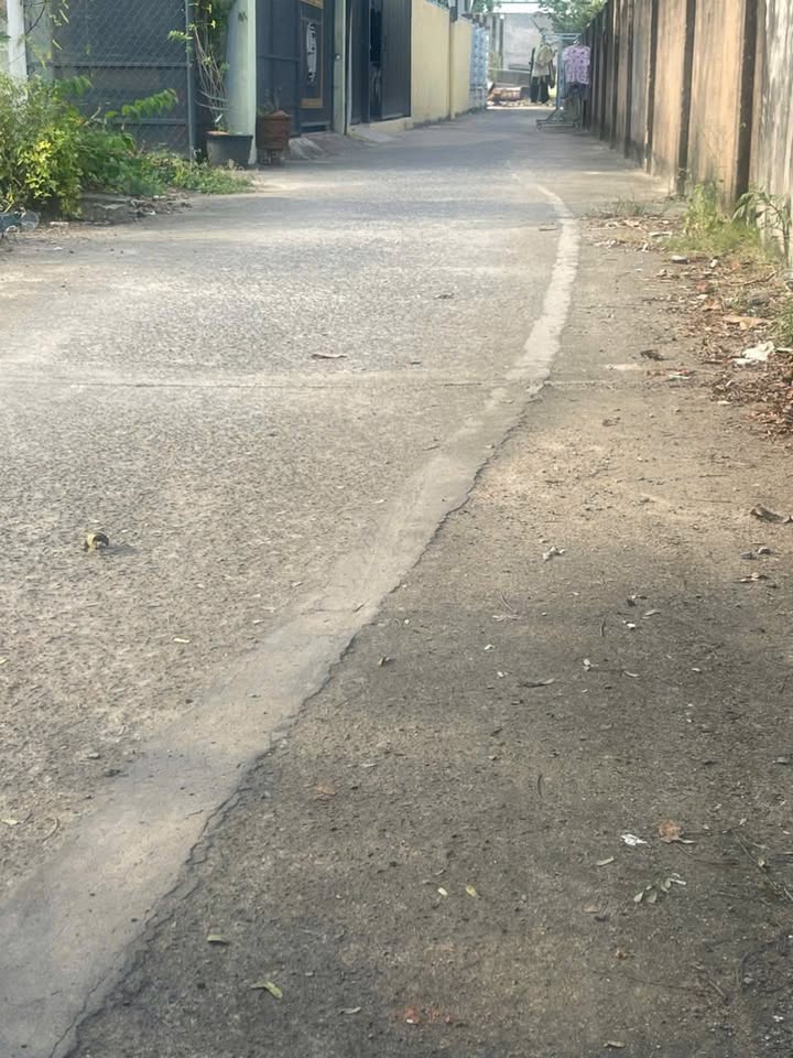 Đất nền Hồ Tràm, Xuyên Mộc 125m² giá 1 tỷ - Cơ hội đầu tư tuyệt vời!