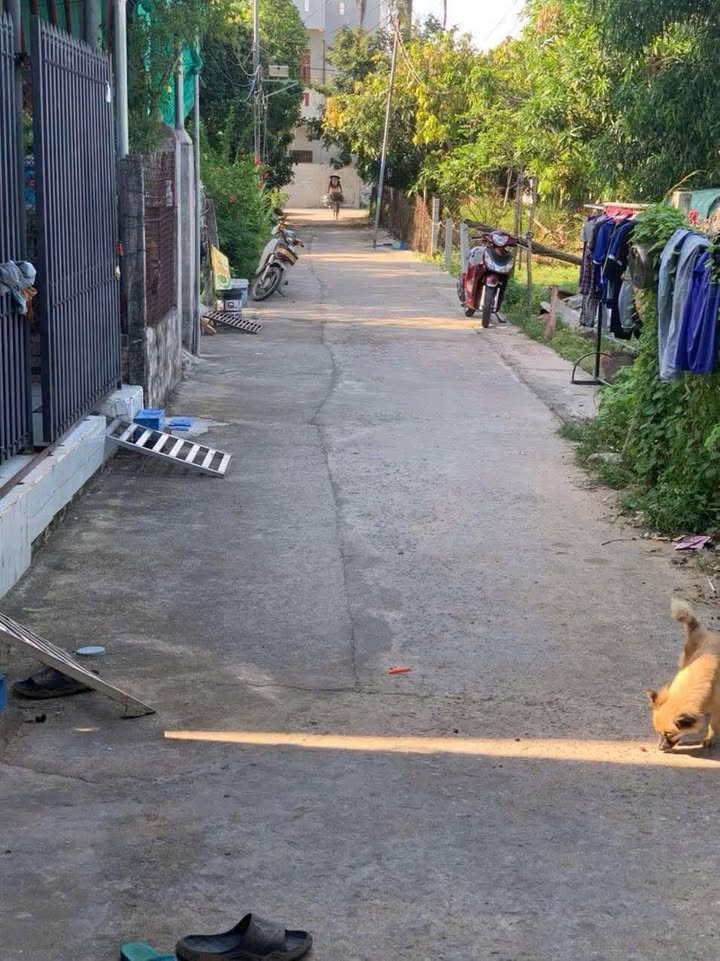 Nhà cấp 4 tại Long Hải, Bà Rịa - Vũng Tàu 356m² giá 3 tỷ - Chính chủ bán gấp!