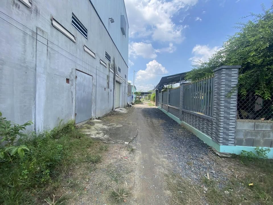 Đất thổ cư 250m² Tân An Hội Củ Chi chỉ 2.25 tỷ - Giá tốt, nhanh tay kẻo lỡ!