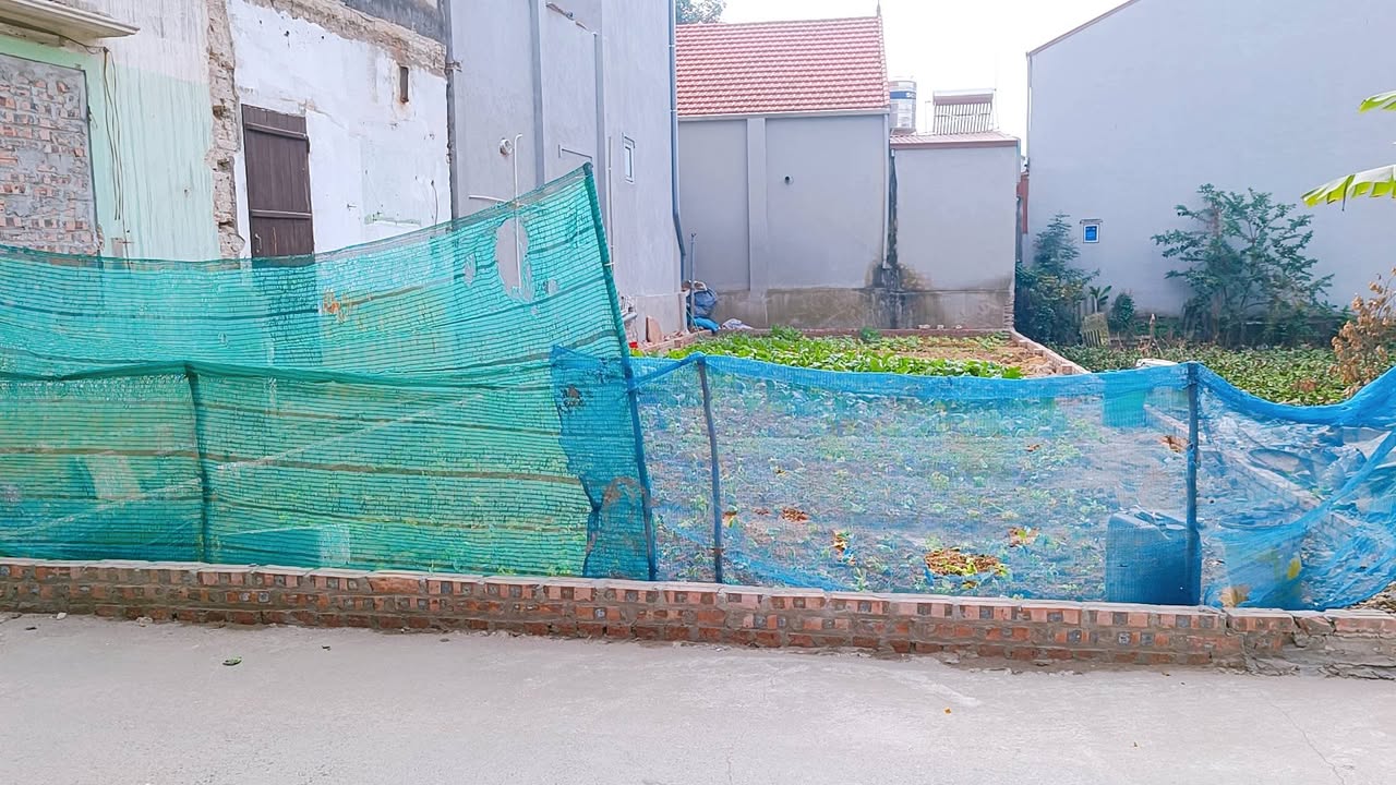 Đất Dược Hạ, Tiên Dược, Sóc Sơn 106m² giá nhỉnh 4 tỷ - Đầu tư sinh lời lý tưởng!