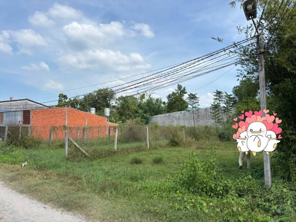 Đất thổ cư Trường Đông Hòa Thành 240m² giá 470 triệu - Sổ hồng chính chủ!