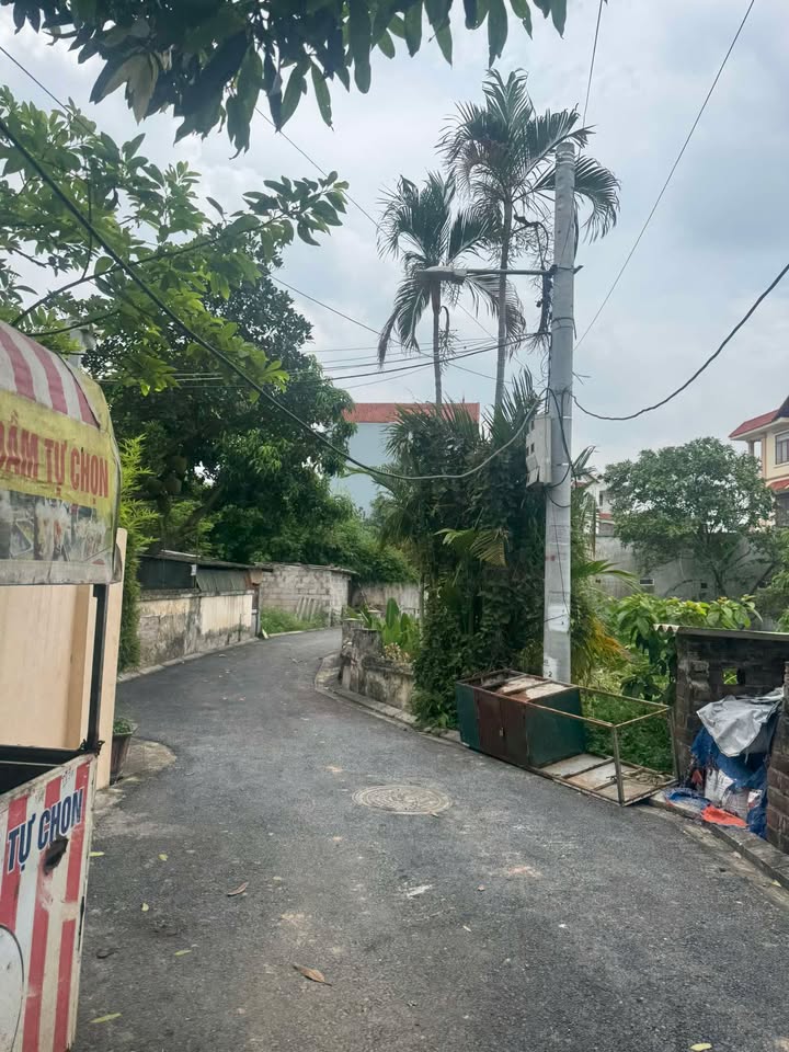 Đất Kiêu Kỵ Gia Lâm 44m² chỉ 2.6 tỷ - Không lỗi phong thủy, đầu tư lý tưởng!