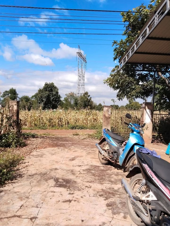 Đất thổ cư 135m² tại xã Quảng Phú, Đắk Lắk - Cơ hội đầu tư tuyệt vời!