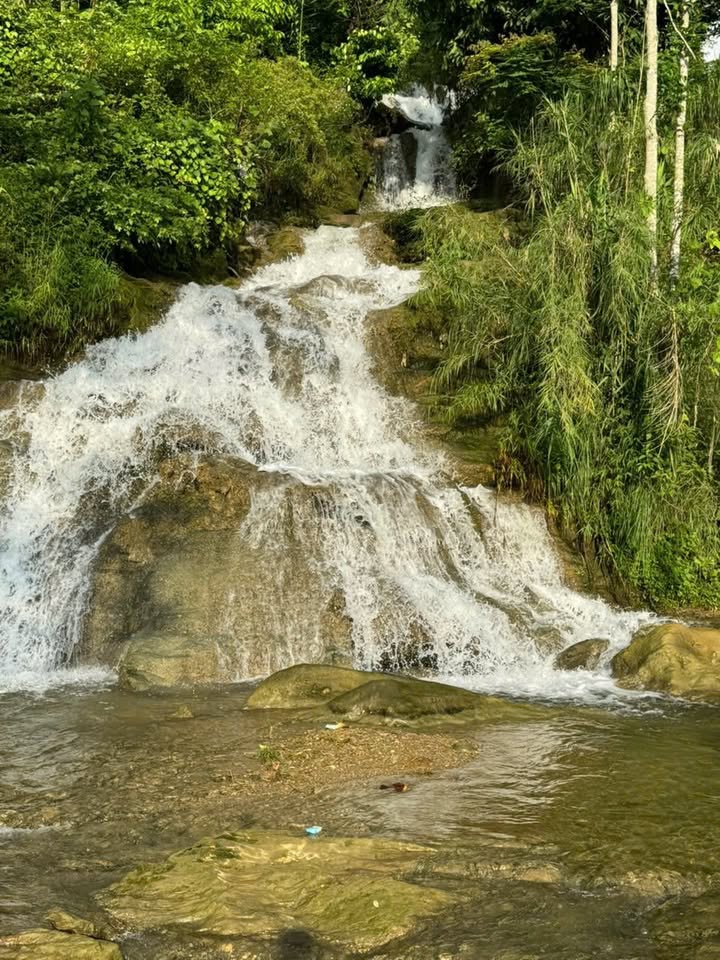 Farm nghỉ dưỡng Tân Lạc Phú Thọ 1,2ha giá 4,8 tỷ - Sở hữu dòng suối và thác riêng!