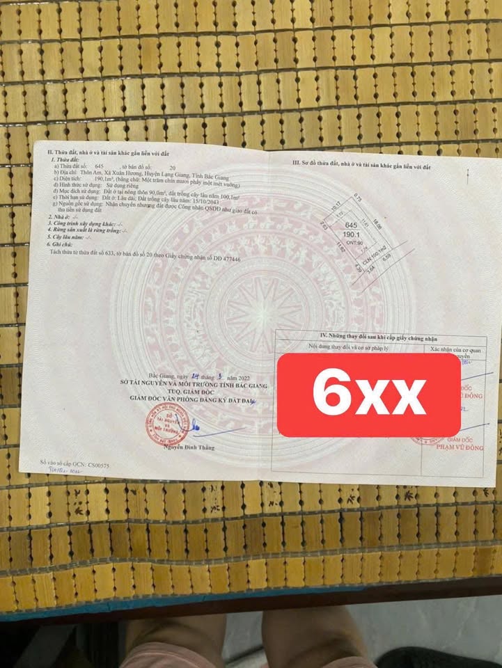 Đất nền Xuân Hương Lạng Giang 200m² giá 600 triệu - Cơ hội đầu tư tuyệt vời!